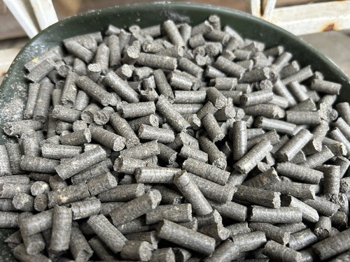 10kg pellets carpe - 10kg, squid