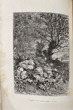 Le Monde des Insectes – S