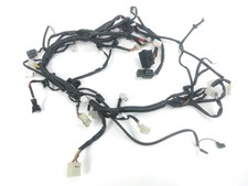 FAISCEAU ELECTRIQUE SWM OUTLAW