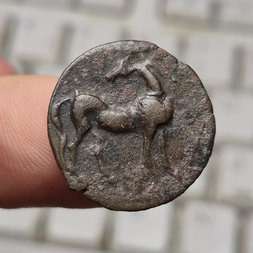 Zeugitane carthage - 14,