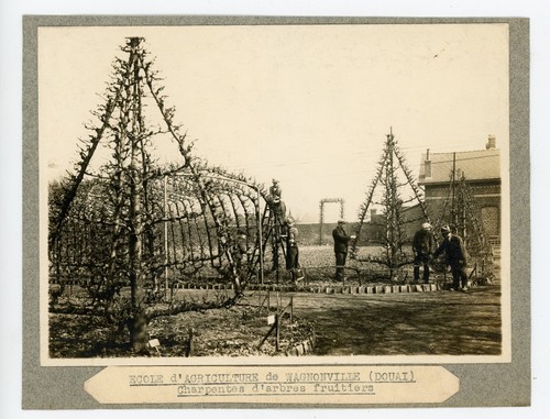 Photo ecole agriculture - ecole, de