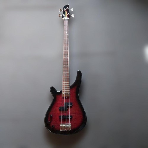 Fernandes frb gaucher - fernandes, frb-40