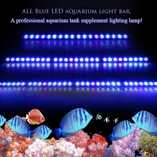 470nm led aquarium - led, light