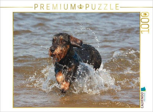 Puzzle calvendo teckel poil - calvendo,