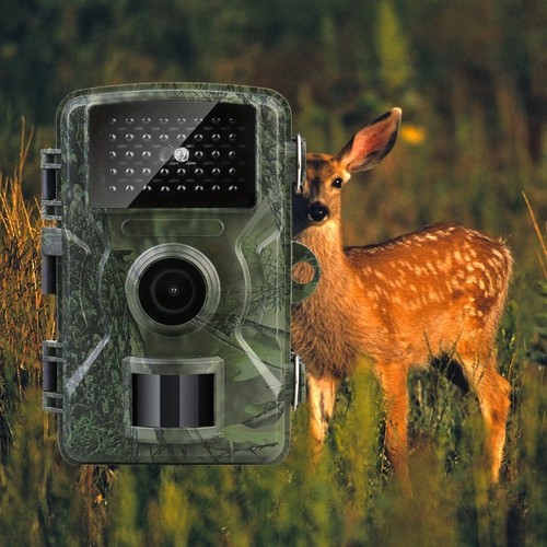 Caméra chasse infrarouge - chasse,