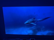 TÉLÉVISEUR LG OLED G3 65