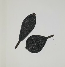 Plombs Carpfishing Inline