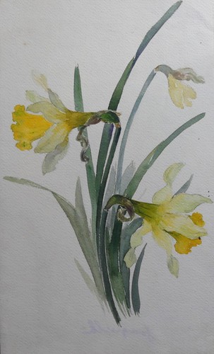 Aquarelle ancienne fleurs - , fin