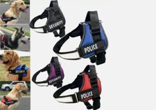 Harnais  pour Chien pour promenade S/XL