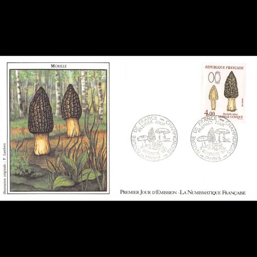 Fdc lnf champignons - -,