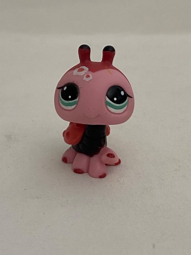 Petshop coccinelle n - coccinelle,