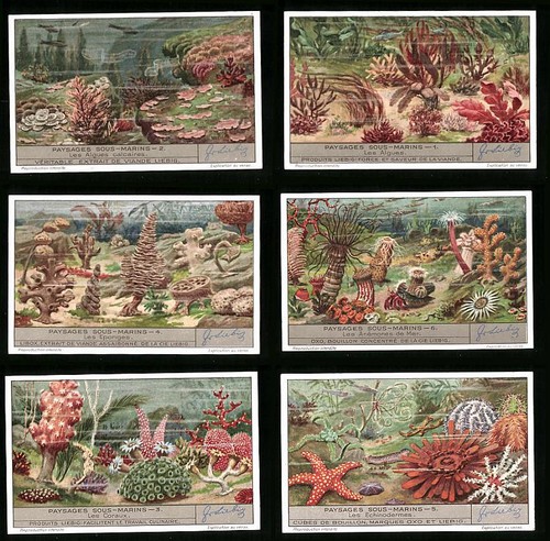 Images collection liebig - images, de
