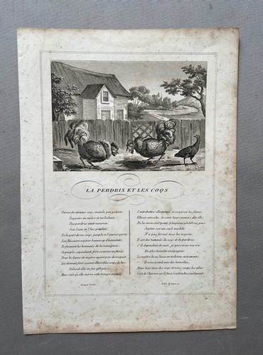 Perdrix les coqs fables - les, coqs,