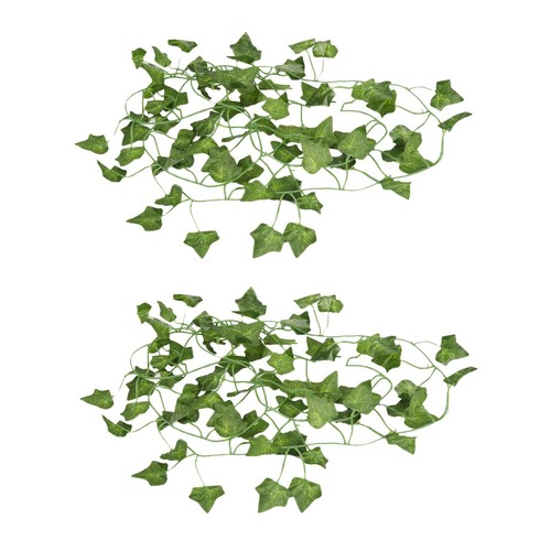 Long plantes - 2x, de