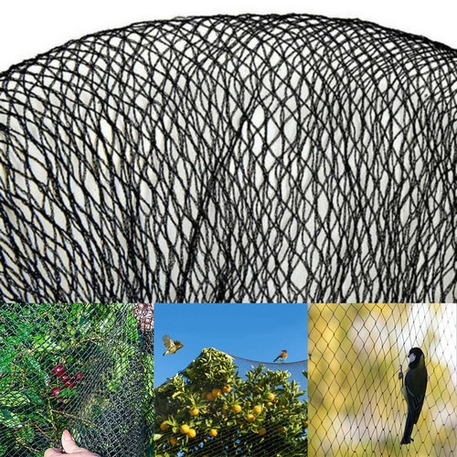 Maille nylon pour plantes