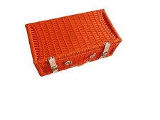 Valise Vintage En Plastique