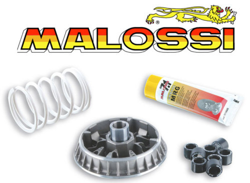 Variateur malossi piaggio - malossi,