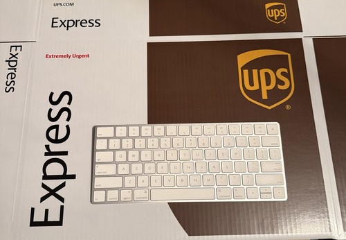 Apple magic keyboard anglais - apple,