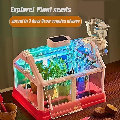 Kids plant growing kit - kids,