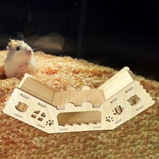 Maison tunnel en bois pour