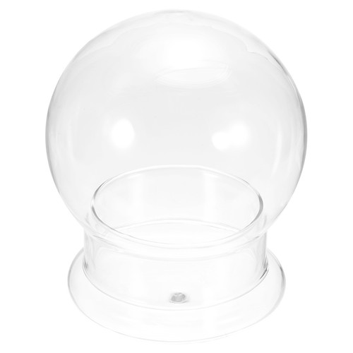 Terrarium air plante - terrarium,