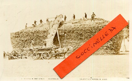 Australia australie making - australia,