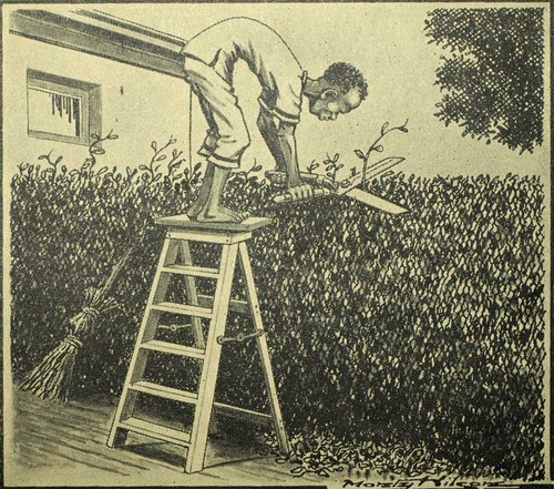 Jardinier zoulou gravure - le,