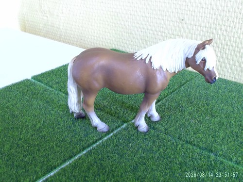 Cheval jument hongre - cheval, haflinger