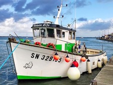 Le chalutier: " TOISON D'OR "