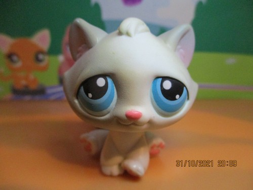 Petshop gutter cat 310 - gutter, #53/310