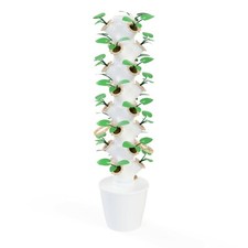 Tour Hydroponique (24 Pods)