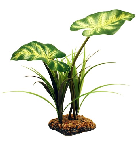 Terrarium vivarium large tue - large, -tue