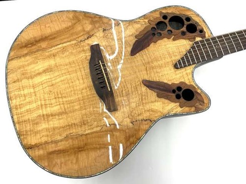 Guitare électrique acoustique