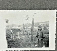 👁ALBUM PHOTOS ENFANCE HEUREUSE FRANCAISE SOUVENIR