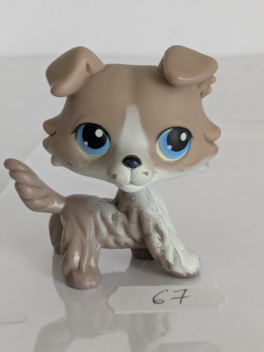 Authentique petshop chien - petshop,