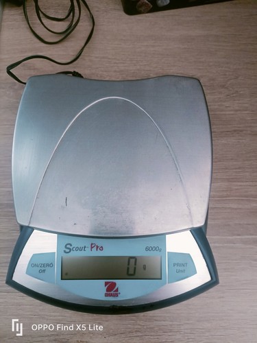 Scout pro balances - pro,
