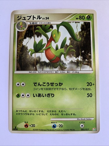 Pokemon card carte - pokemon, grovyle