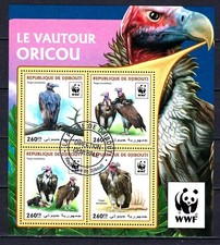 Animaux Oiseaux WWF Djibouti