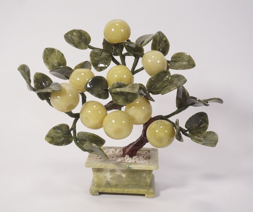 Bonsaï ancien arbre jade - bonsaï,