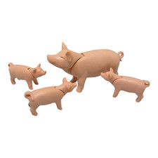 sympa famille cochon