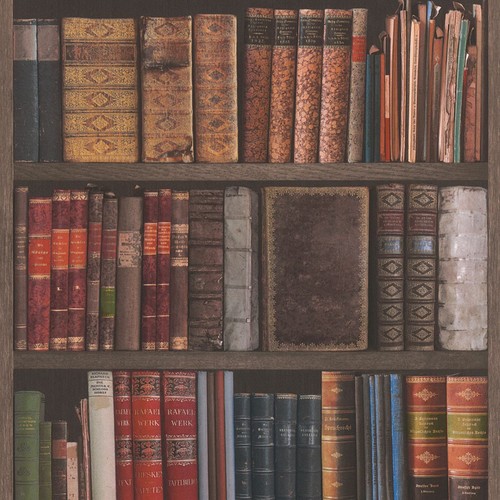 Bibliothèque livres papier - bibliothèque,