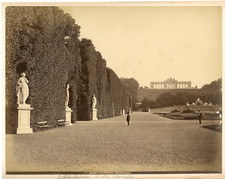 Austria, Vienna, Wien, Schönbrunn, Parterre mit Gloriette Vintage Albumen Prin