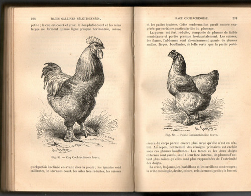 Voitellier 1905 - voitellier,