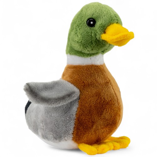 Canard carl dick environ - carl, 18