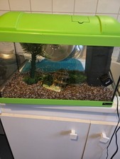 aquarium 10litre vert pour