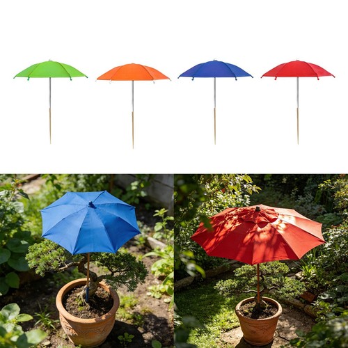 Abris solaire jardin avec - solaire,
