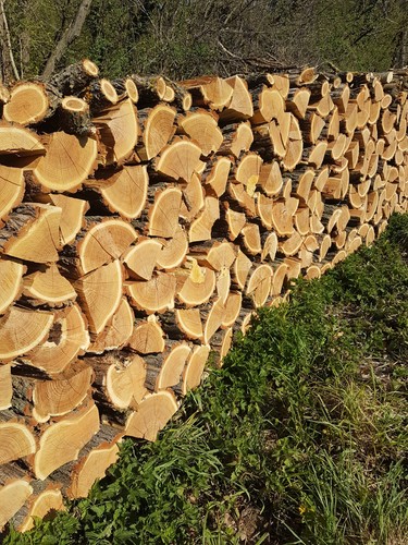 Bois chauffage acacia sec - chauffage,