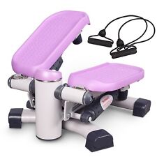 LeikeFitness Premium Portable Climber Stair Stepper & Waist Fitness Twister