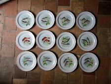 Vintage Limoges Porcelain 12 Plate Flat Fish Service