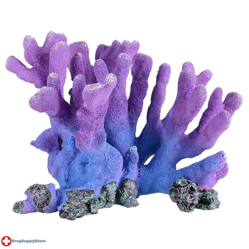 Branch coral purple - ra,